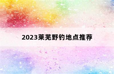 2023莱芜野钓地点推荐