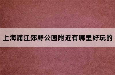 上海浦江郊野公园附近有哪里好玩的