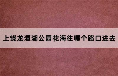 上饶龙潭湖公园花海往哪个路口进去