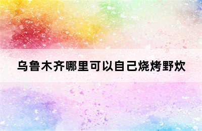 乌鲁木齐哪里可以自己烧烤野炊