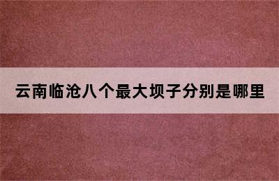 云南临沧八个最大坝子分别是哪里