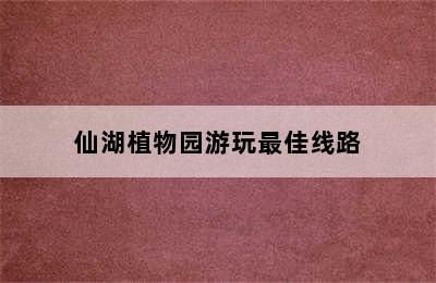 仙湖植物园游玩最佳线路