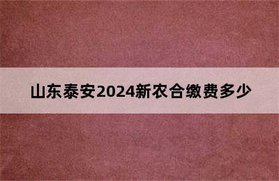 山东泰安2024新农合缴费多少