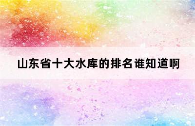 山东省十大水库的排名谁知道啊