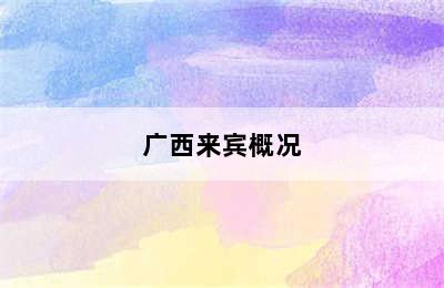 广西来宾概况