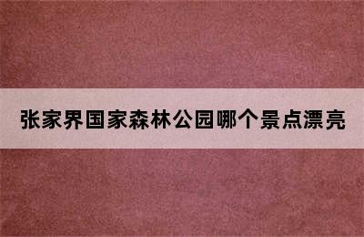 张家界国家森林公园哪个景点漂亮