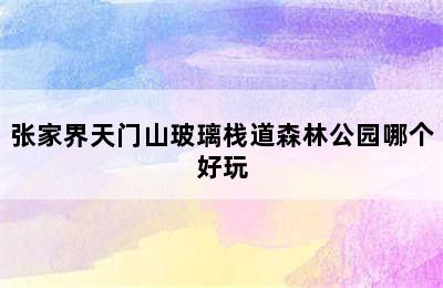 张家界天门山玻璃栈道森林公园哪个好玩