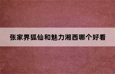 张家界狐仙和魅力湘西哪个好看