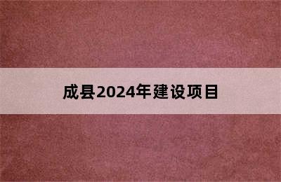 成县2024年建设项目