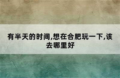 有半天的时间,想在合肥玩一下,该去哪里好