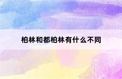 柏林和都柏林有什么不同