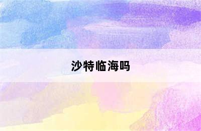 沙特临海吗