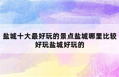 盐城十大最好玩的景点盐城哪里比较好玩盐城好玩的