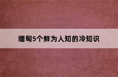 缅甸5个鲜为人知的冷知识