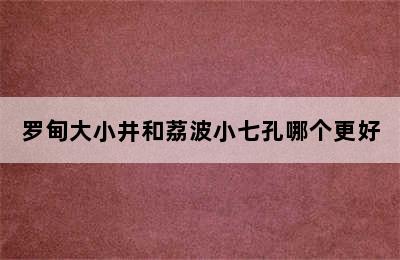 罗甸大小井和荔波小七孔哪个更好