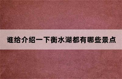 谁给介绍一下衡水湖都有哪些景点