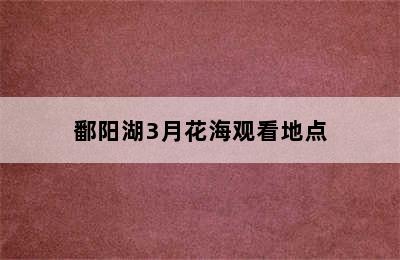 鄱阳湖3月花海观看地点