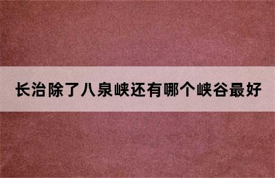 长治除了八泉峡还有哪个峡谷最好